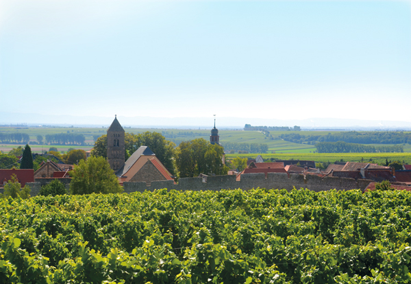Weingut Keller, Flörsheim Dalsheim, Fleckenmauer